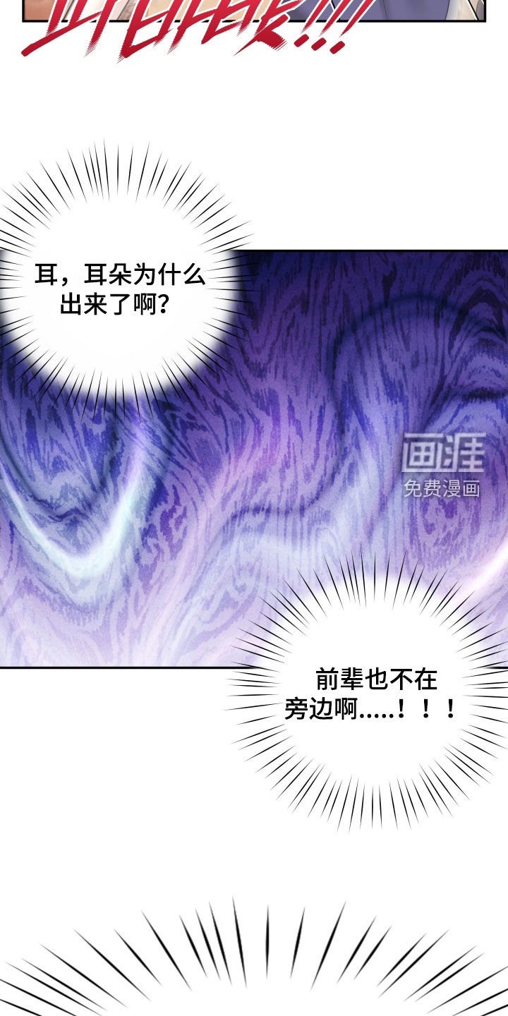 第17章：收不回去了