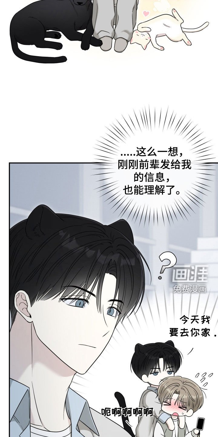 第25章：帮你消除
