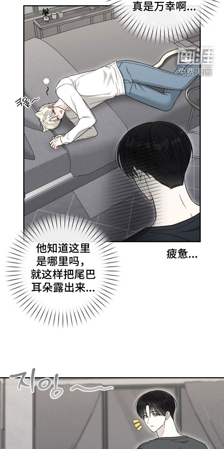 第28章：你这个疯子