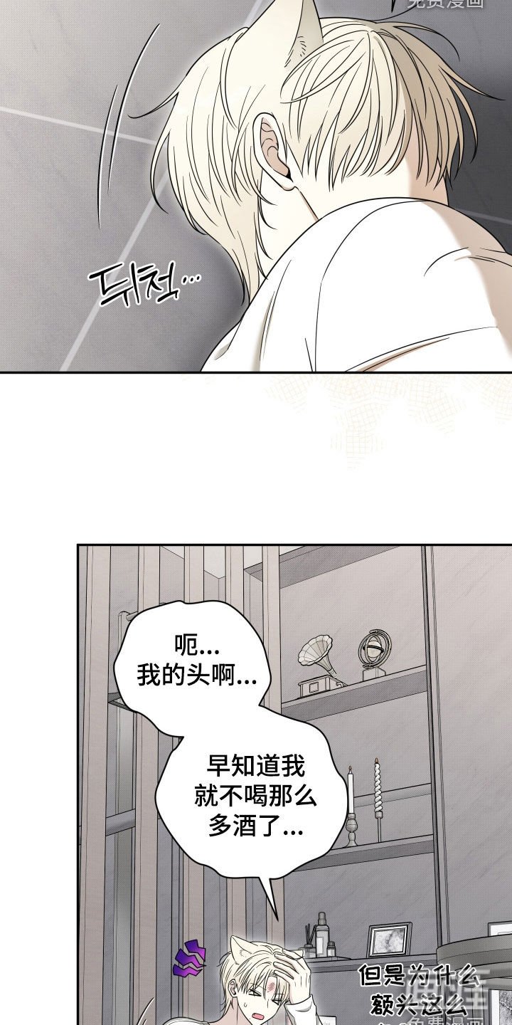 第29章：真是火大