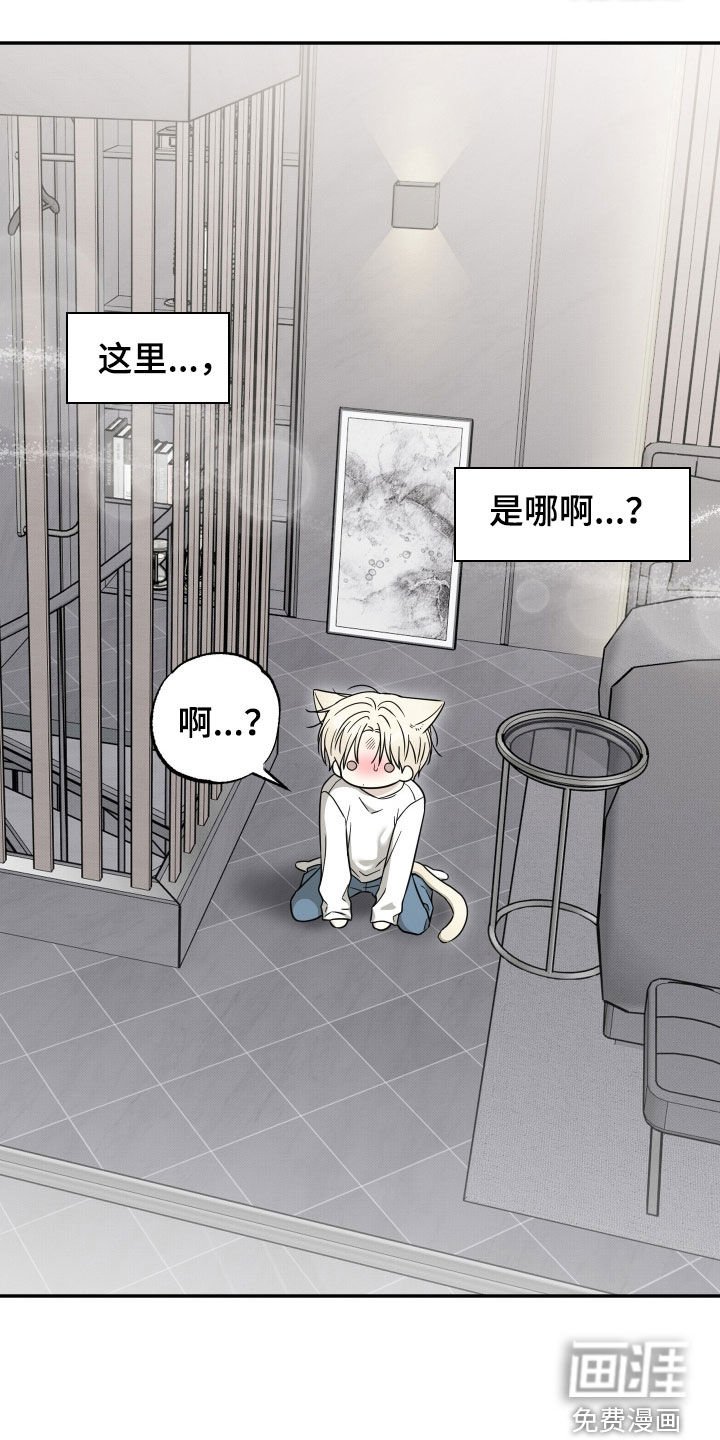 第29章：真是火大