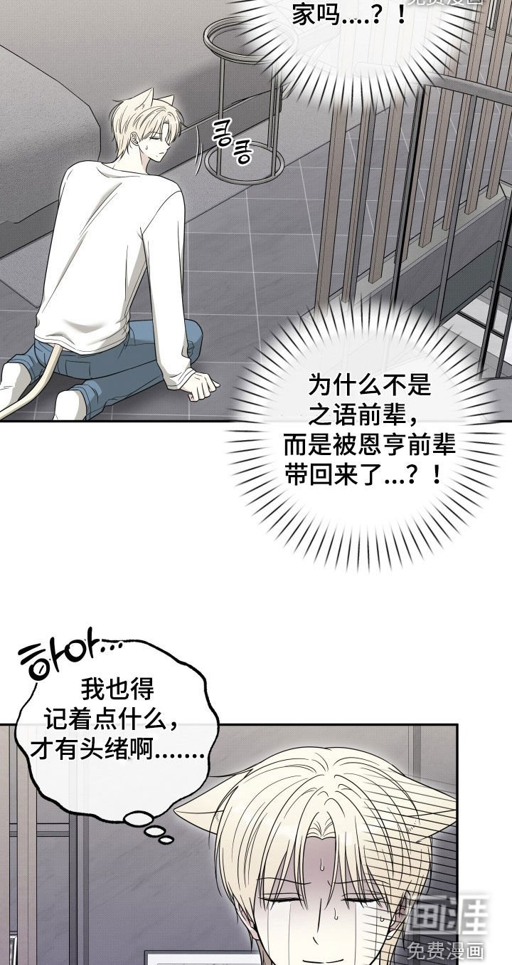第29章：真是火大