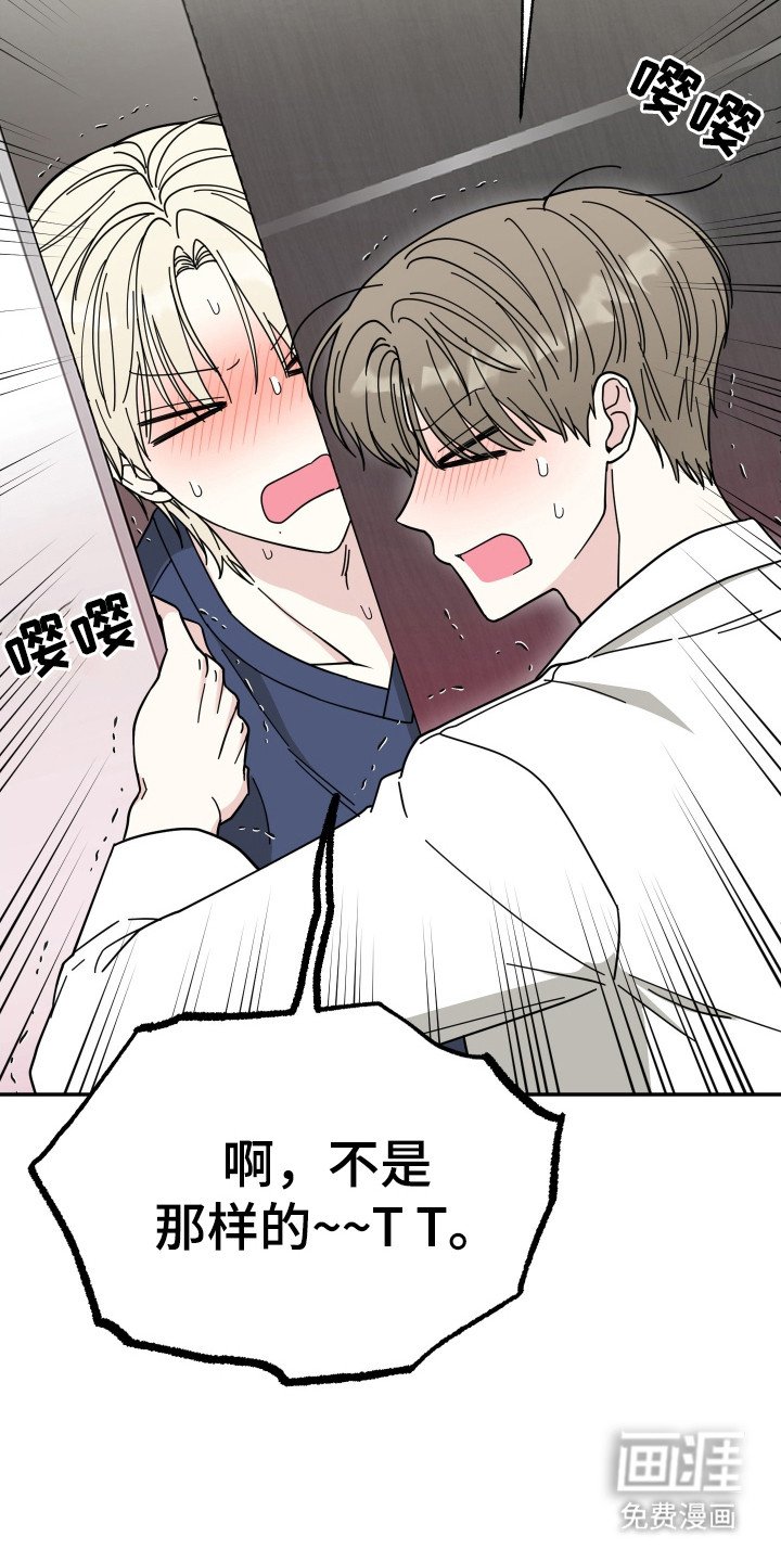 第3章：猫耳