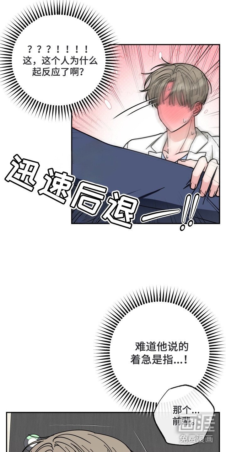 第3章：猫耳