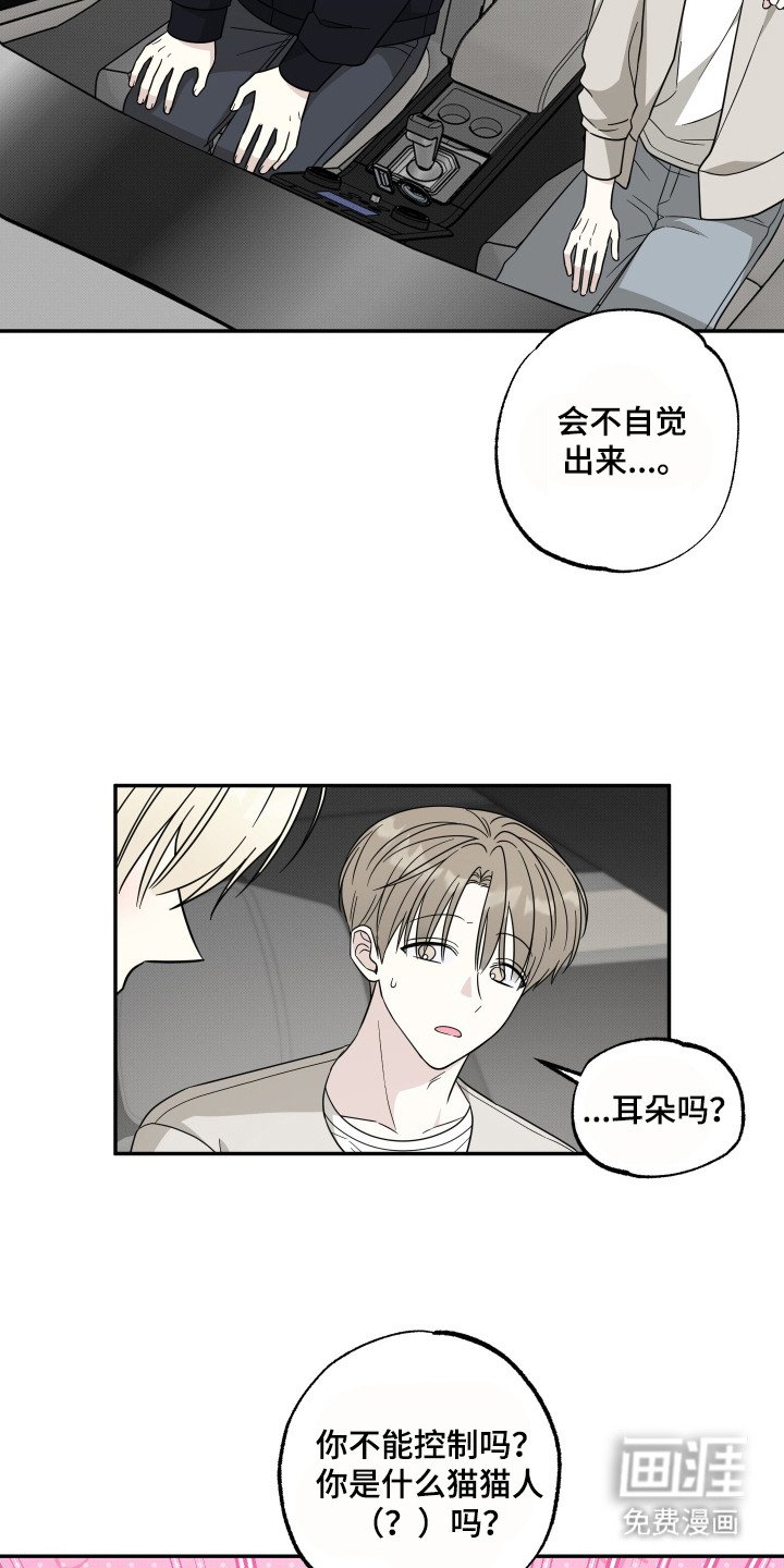 第6章：猫猫人