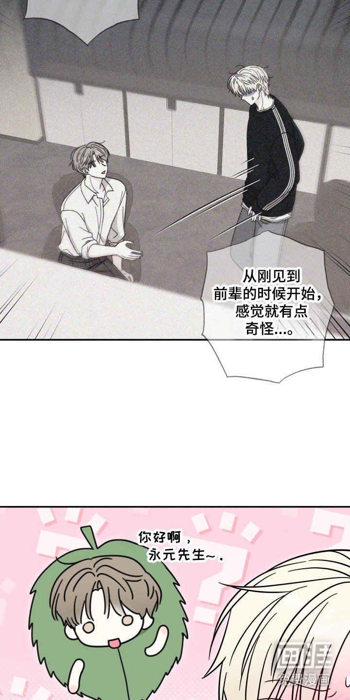 第6章：猫猫人