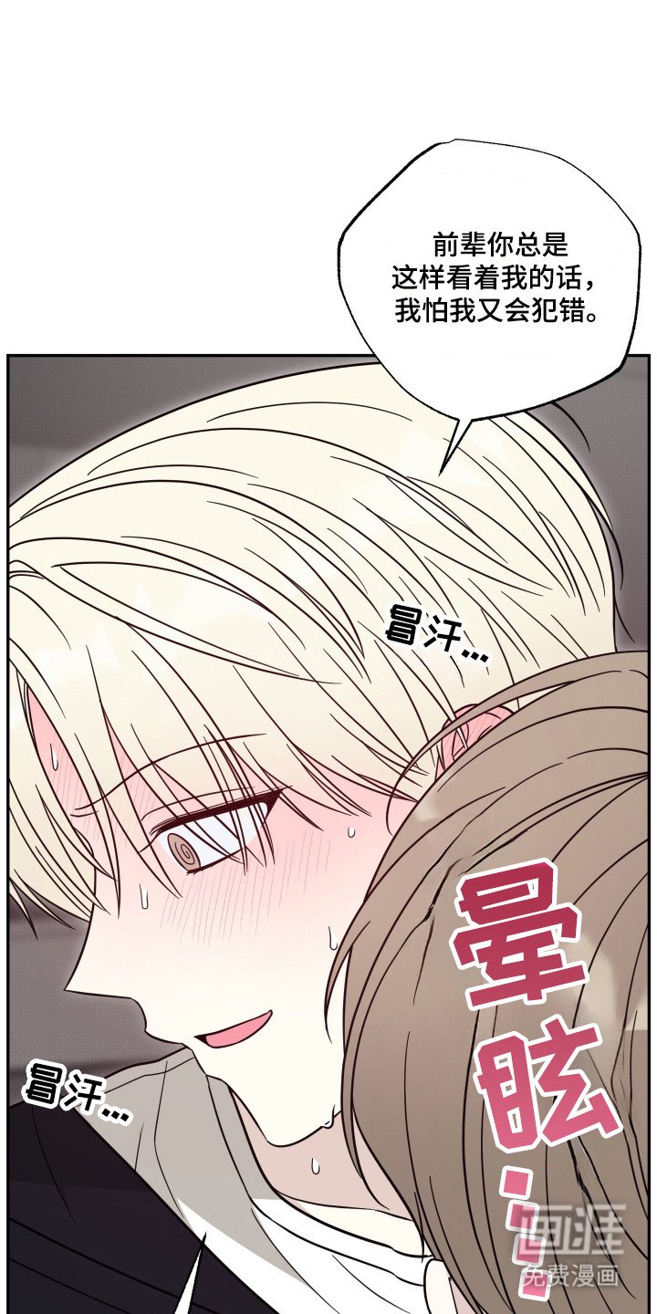 第6章：猫猫人