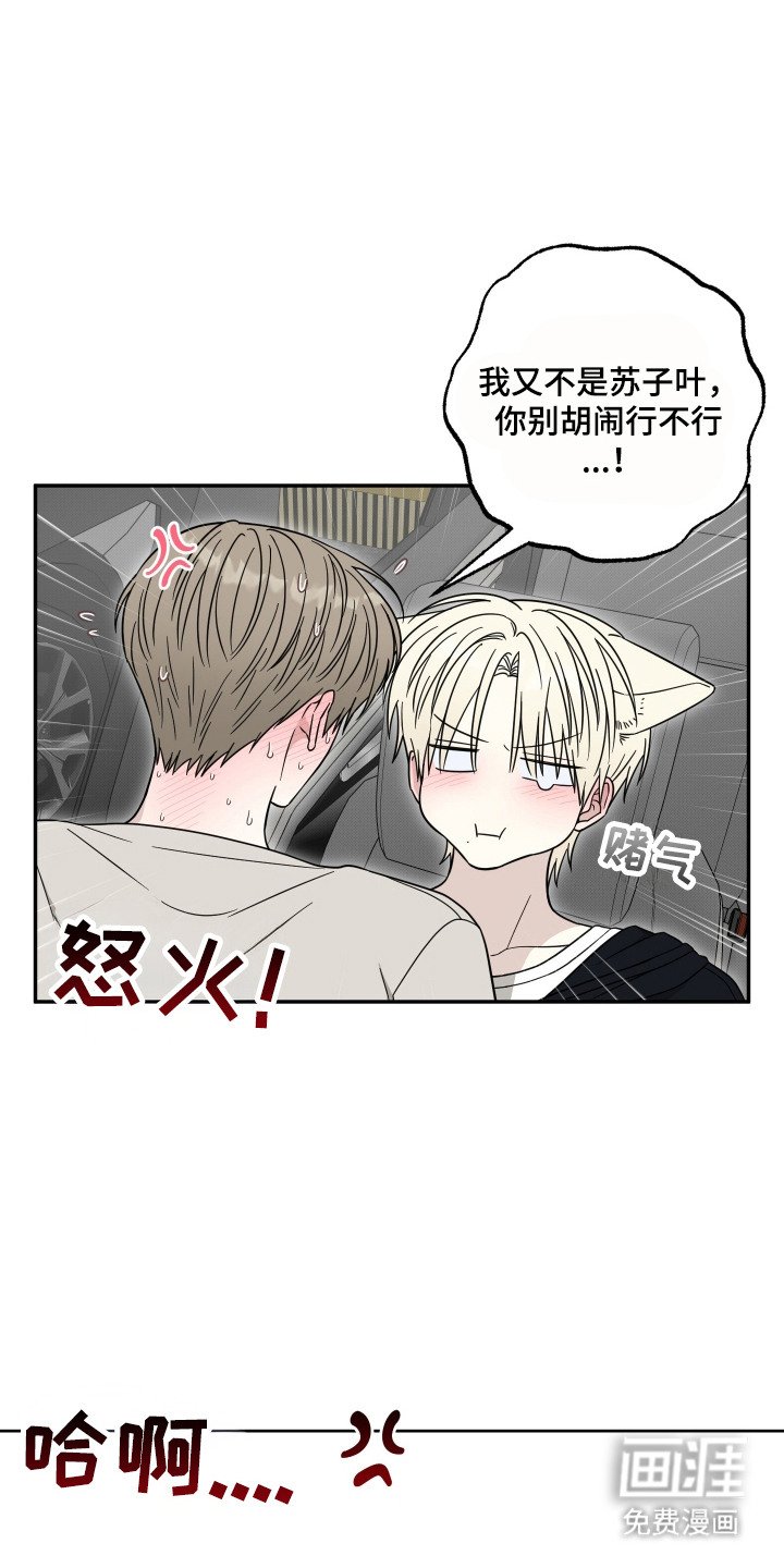 第8章：解释