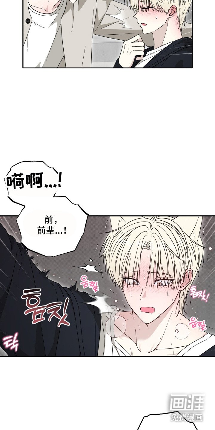 第8章：解释
