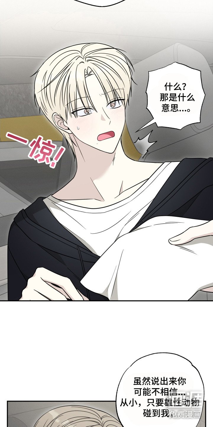 第8章：解释