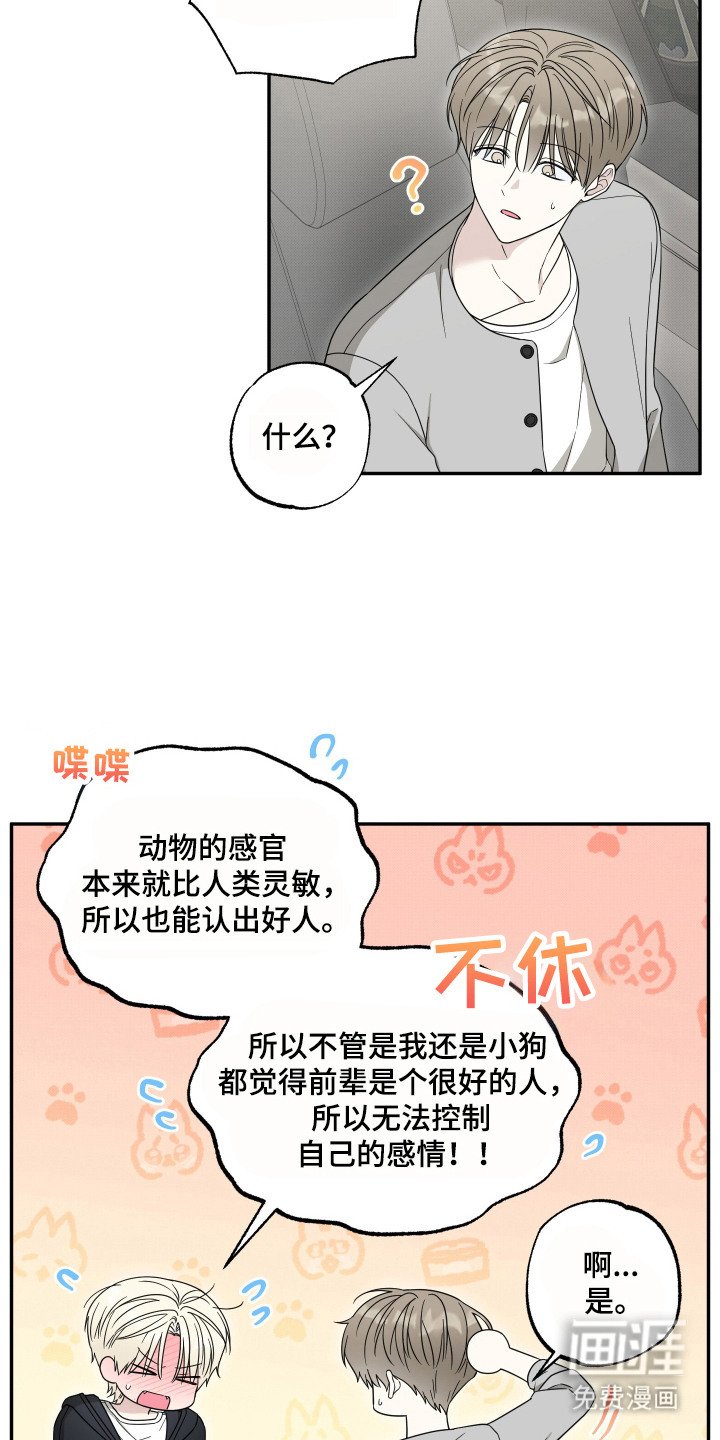 第8章：解释