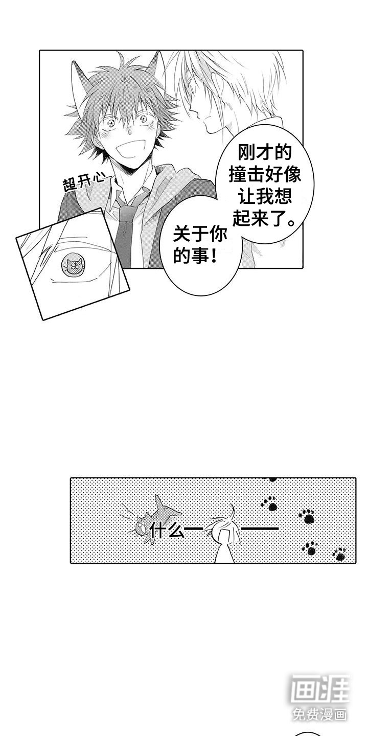 第11章：恢复记忆