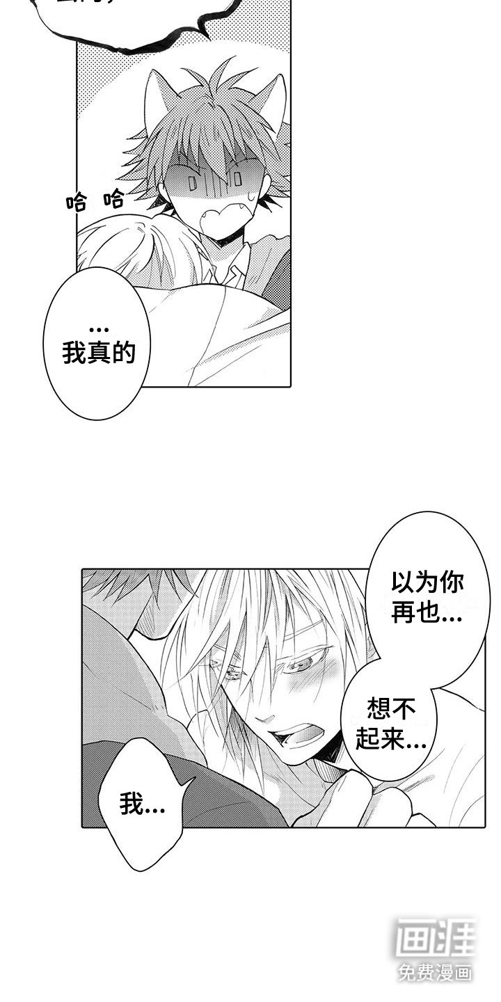 第11章：恢复记忆