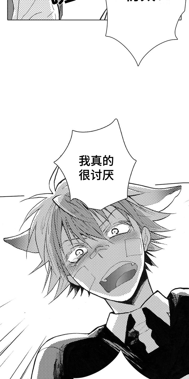 第2章：讨厌