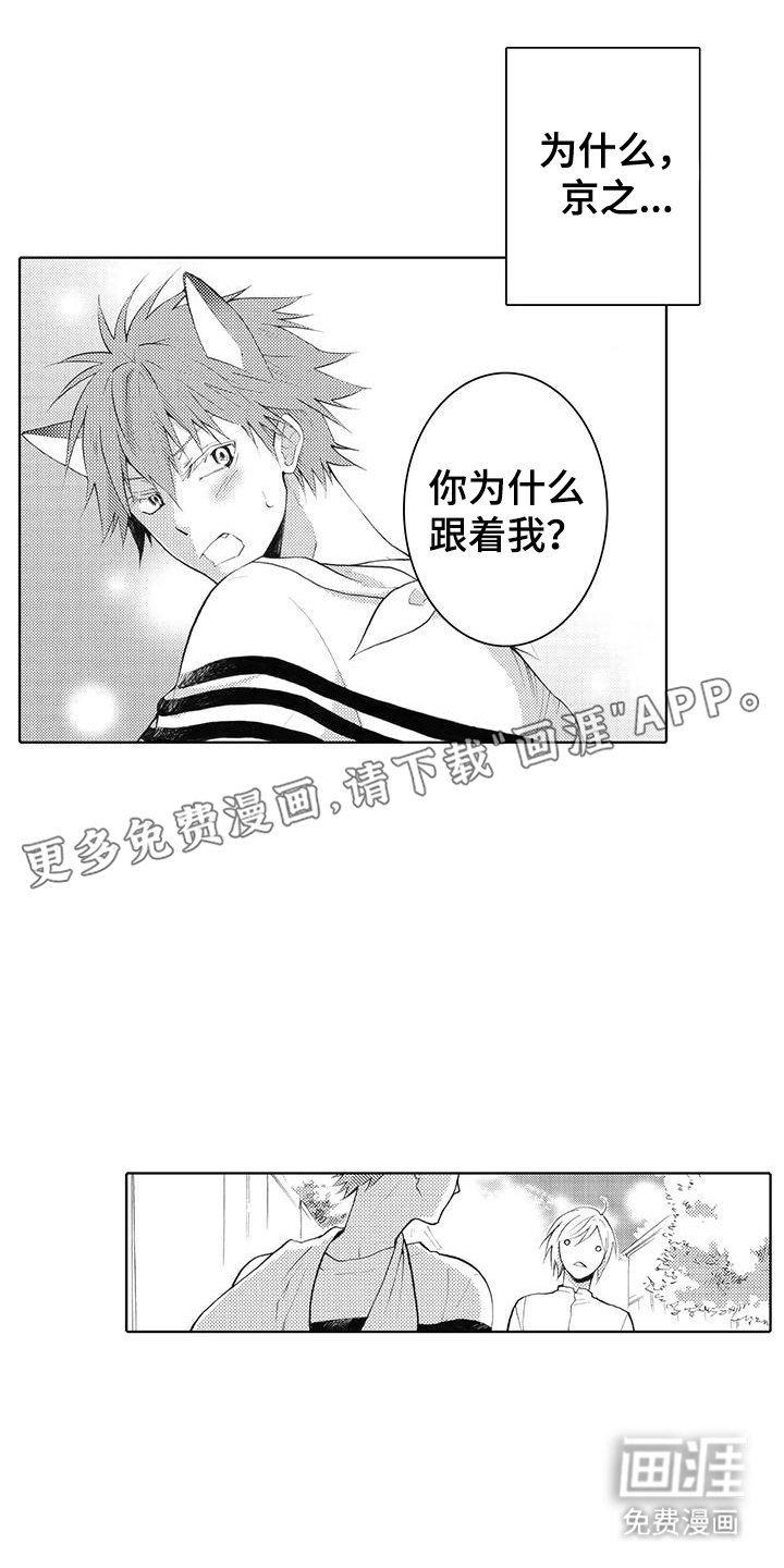 第4章：重新认识