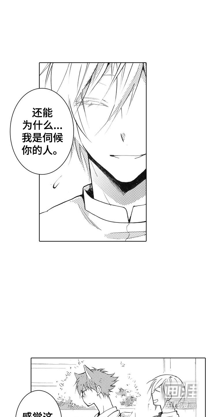 第4章：重新认识