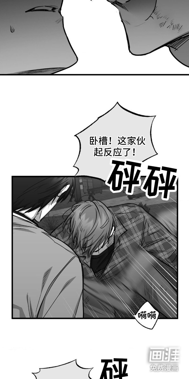 第12章：教训