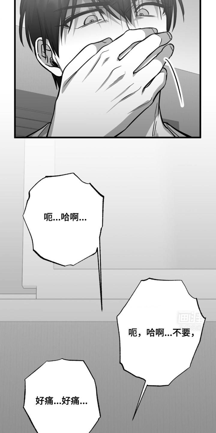 第28章：软柿子