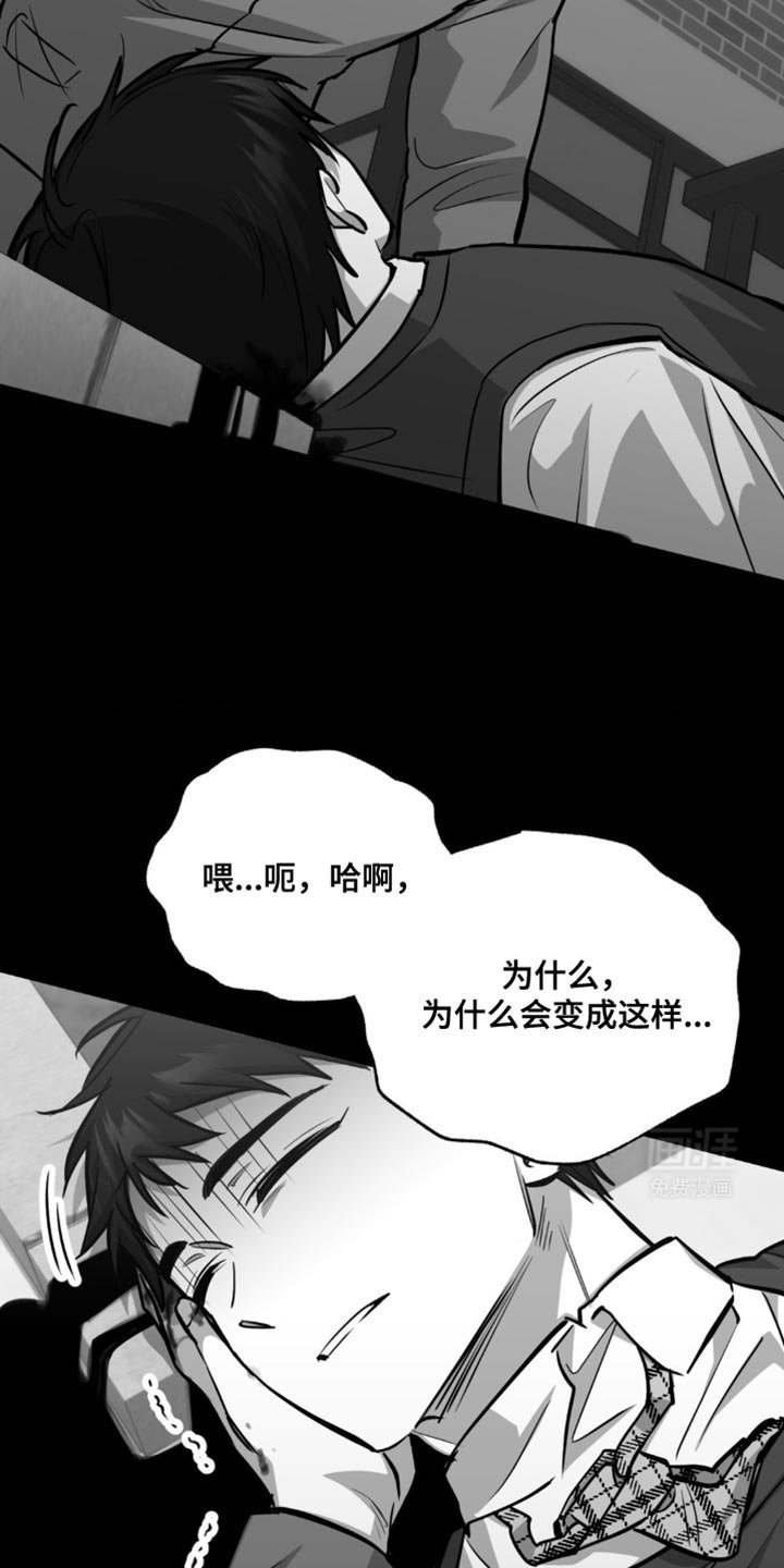 第28章：软柿子