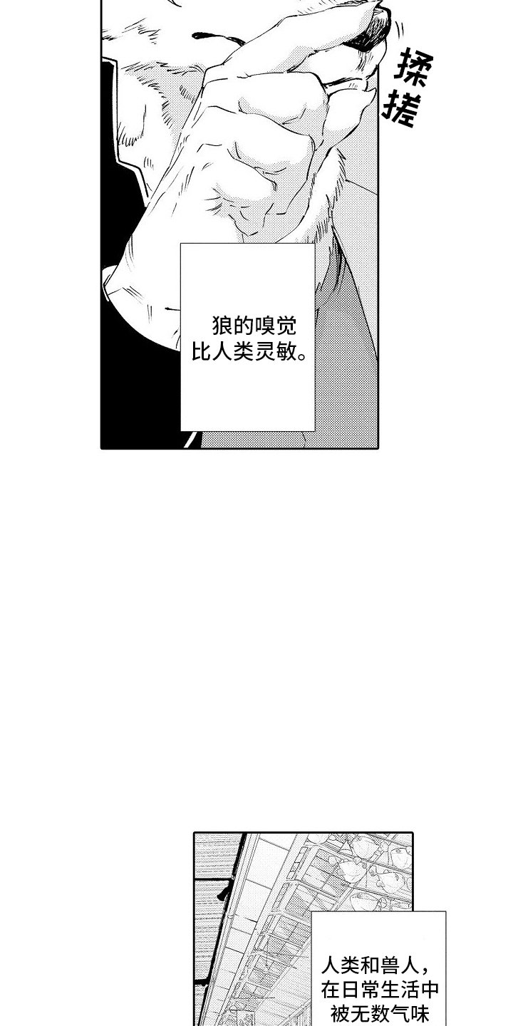 第1章：打架