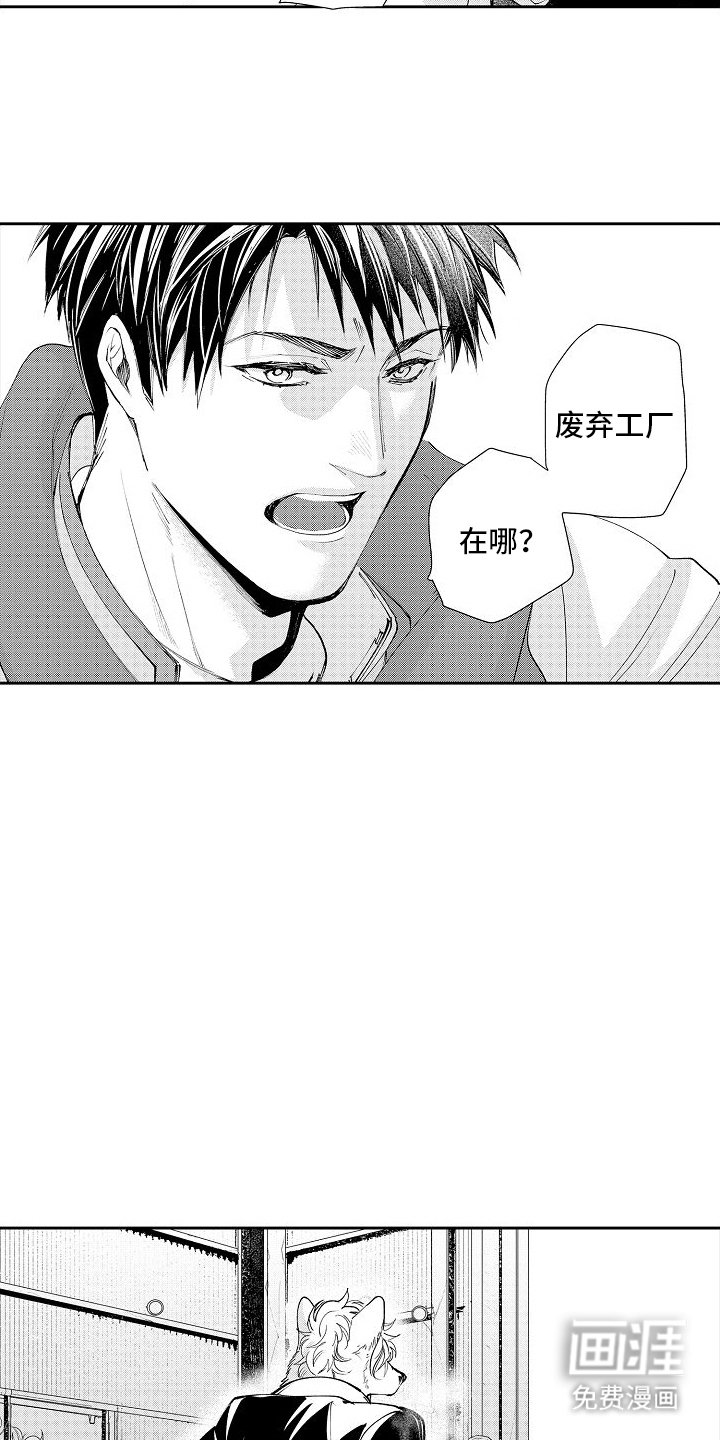 第11章：打架
