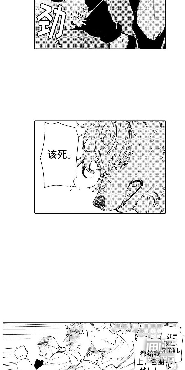 第11章：打架