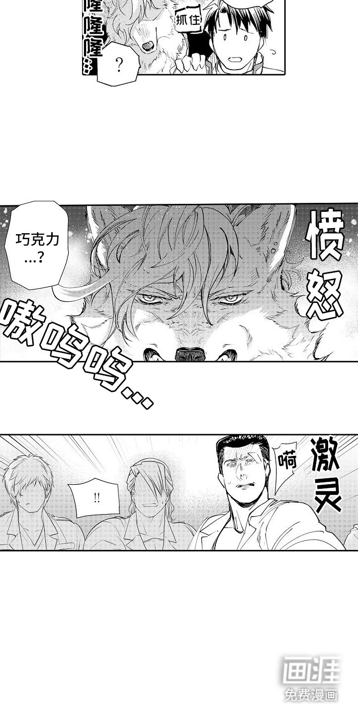 第11章：打架