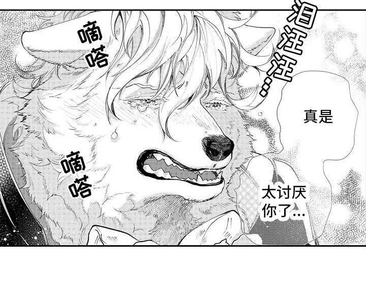 第12章：误会解除