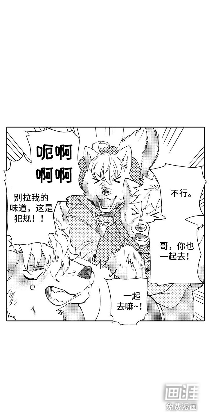 第14章：夜晚