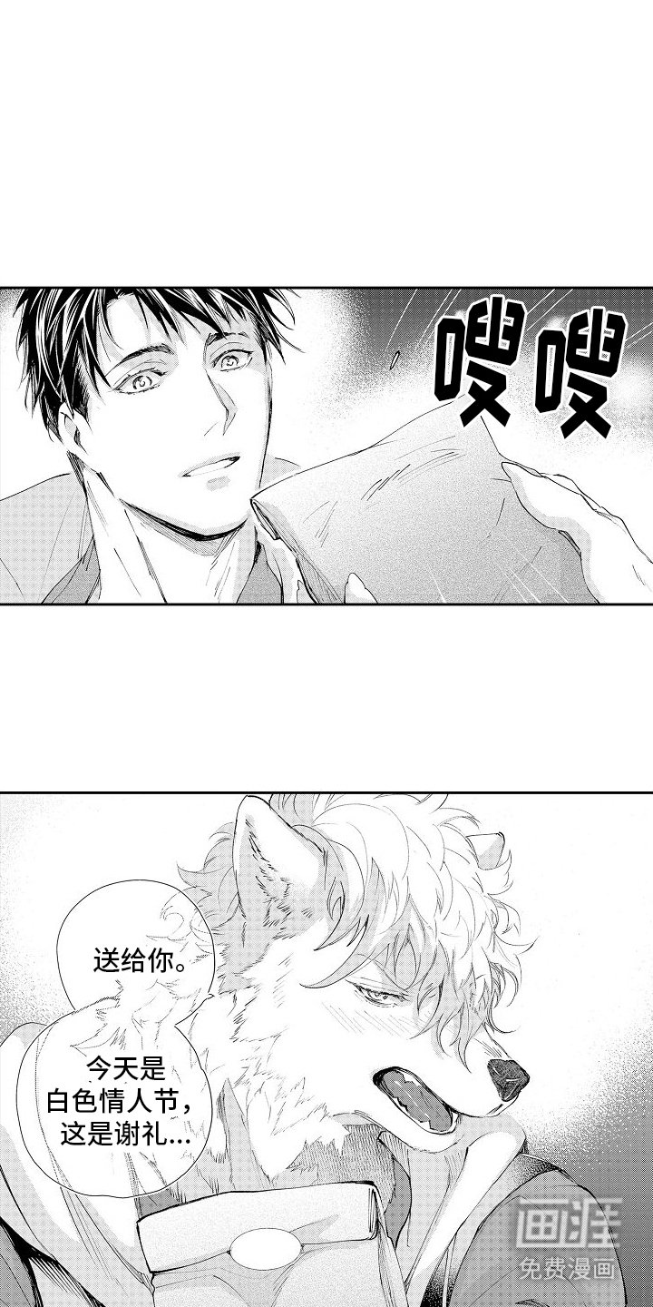 第15章：回礼