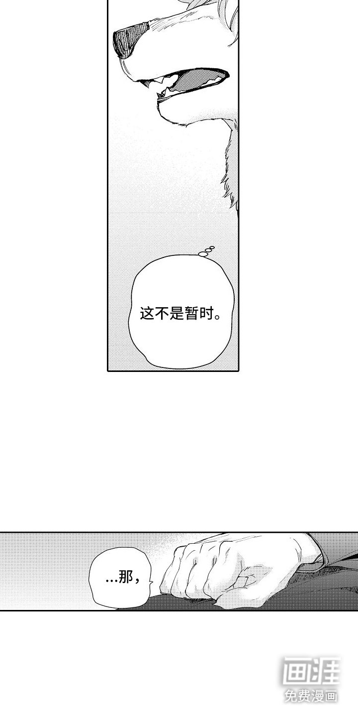 第17章：未来