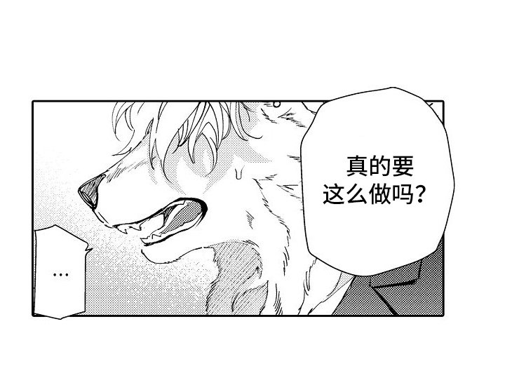 第17章：未来