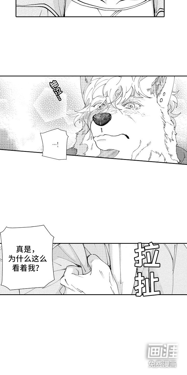 第19章：离别