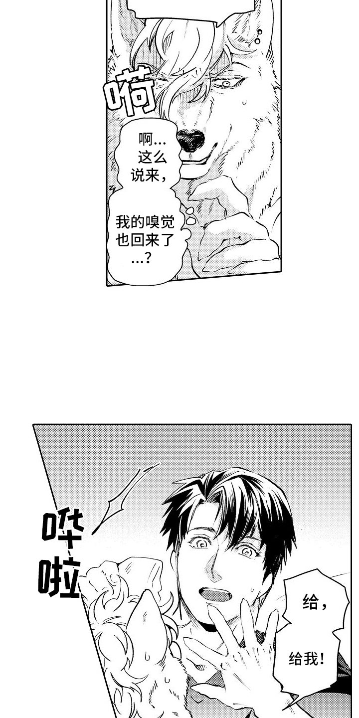 第3章：气味