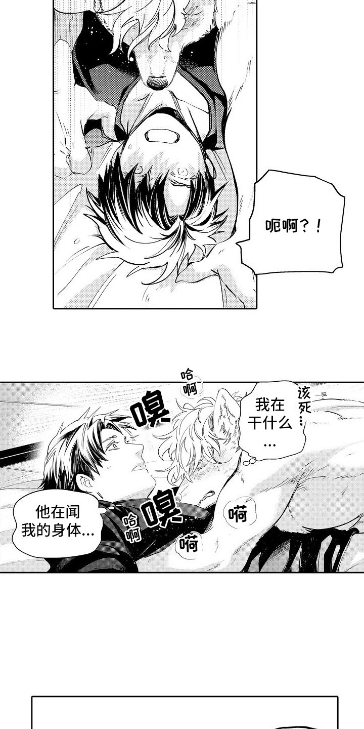 第3章：气味