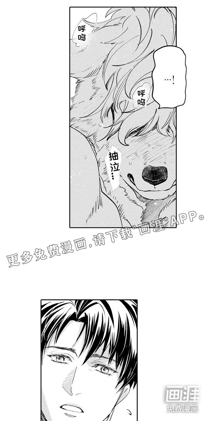 第4章：喜欢