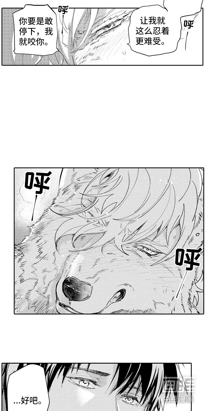 第4章：喜欢