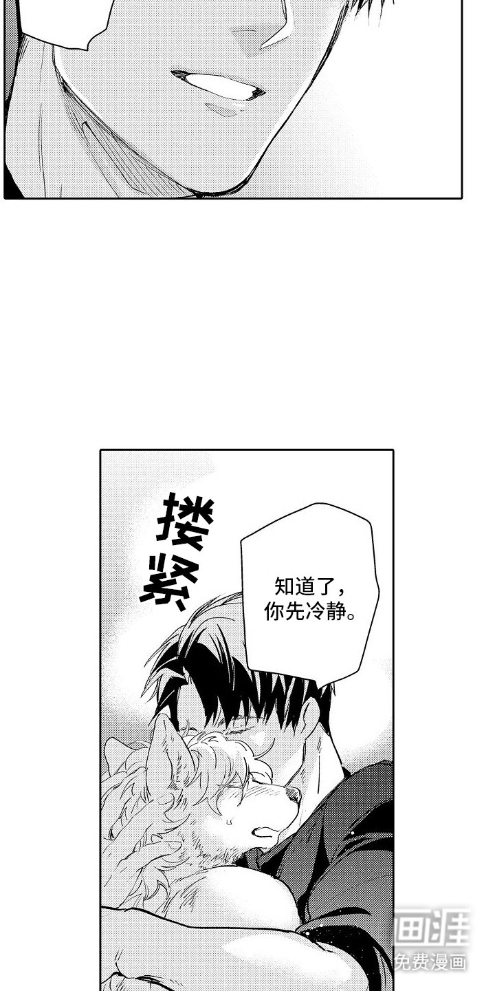 第4章：喜欢