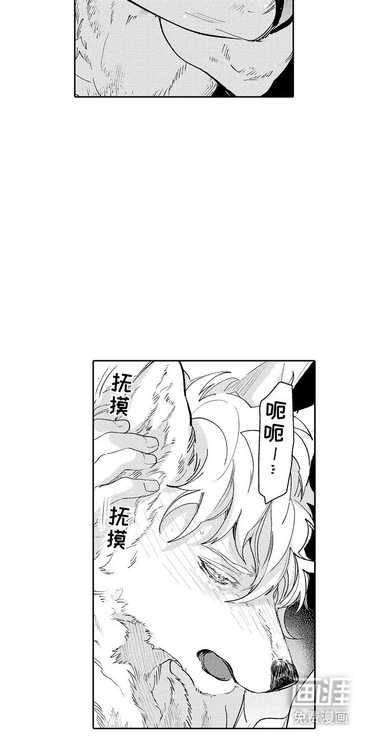 第4章：喜欢