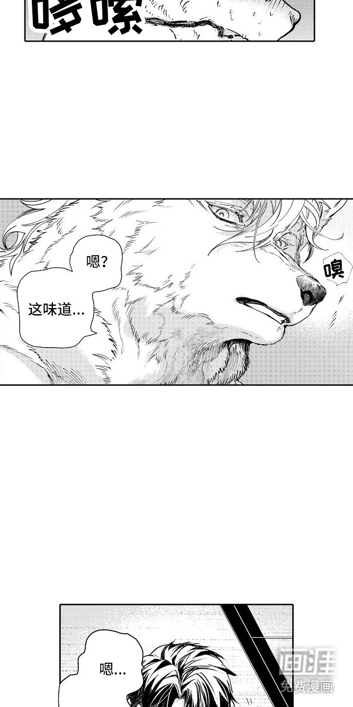 第4章：喜欢