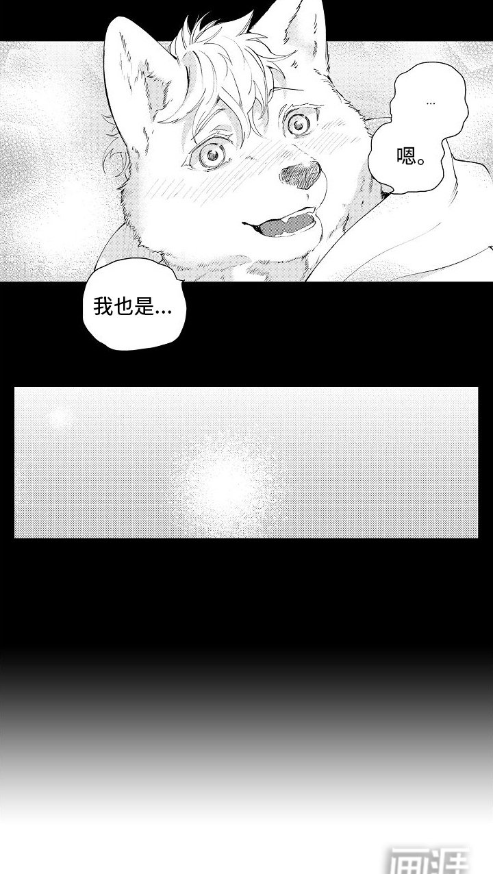 第4章：喜欢
