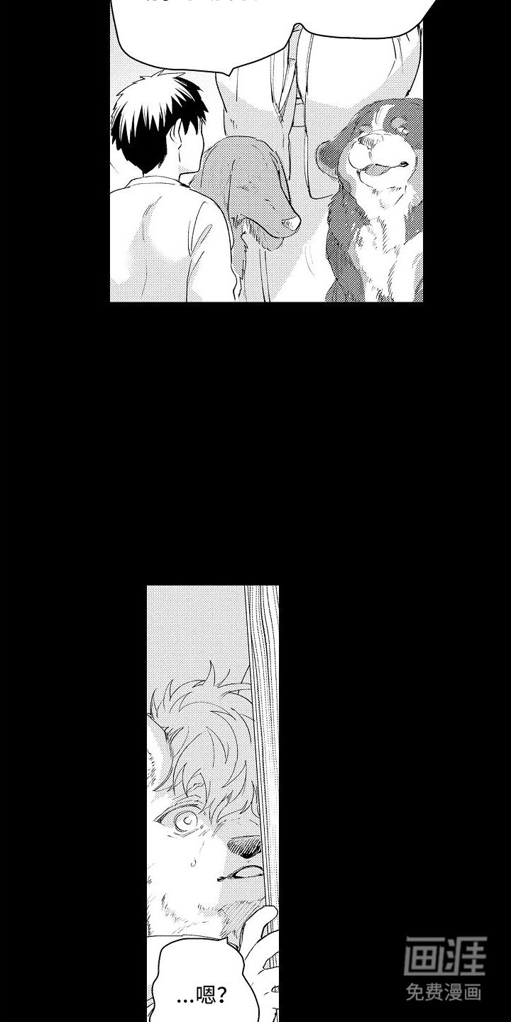 第6章：意外