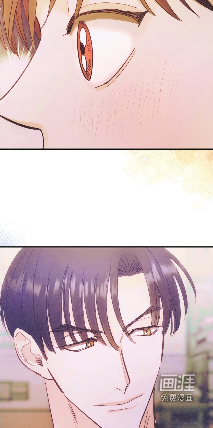第112章：你哭了