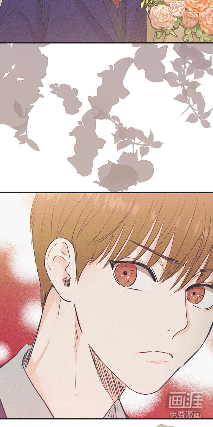 第13章：不满情绪