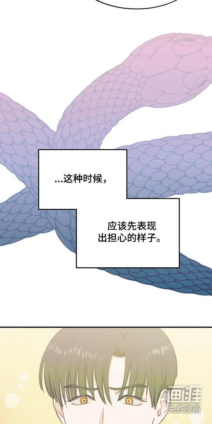 第44章：去看看