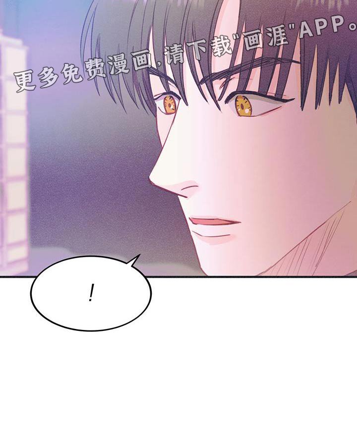 第44章：去看看