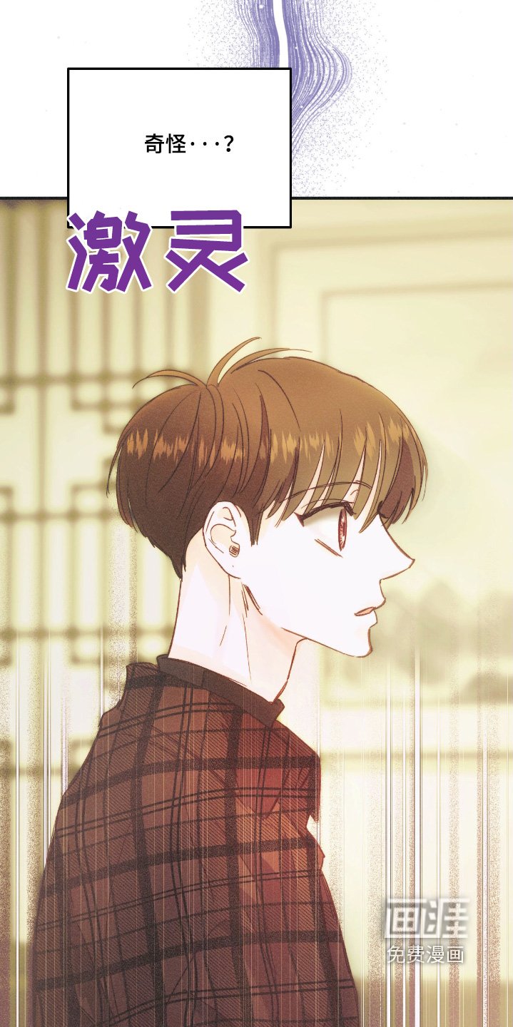 第82章：我的照片