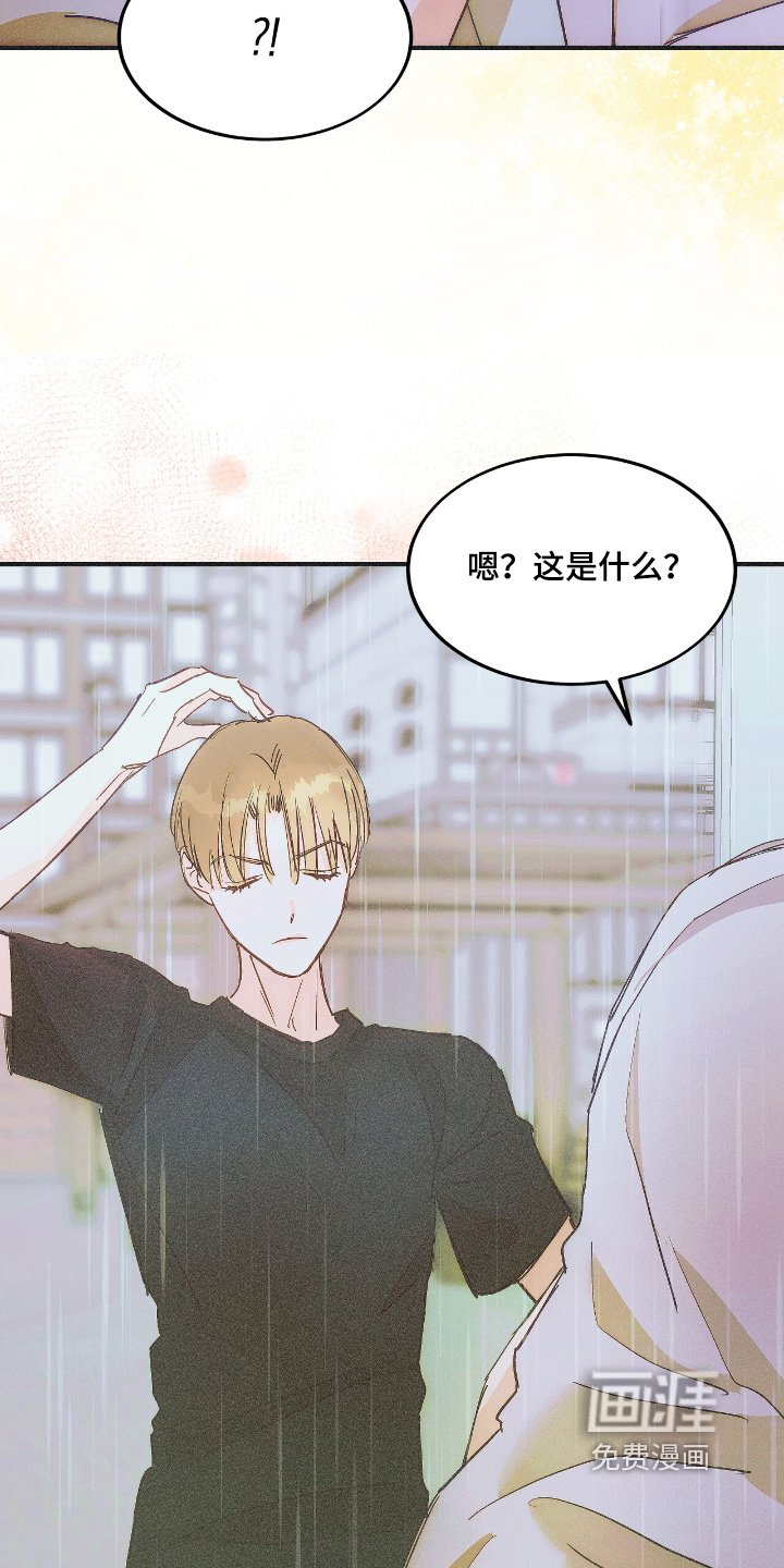 第91章：下雨了