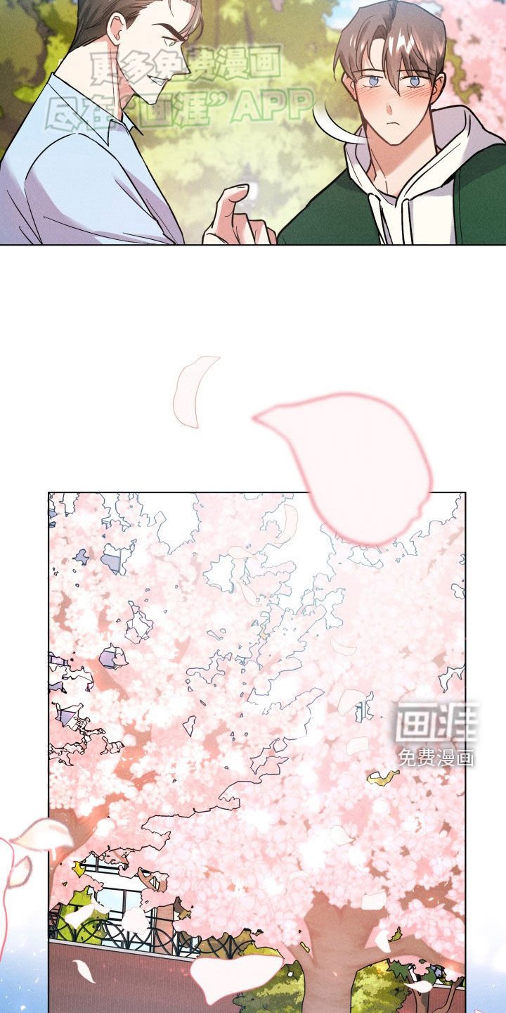 第19章：我喜欢你