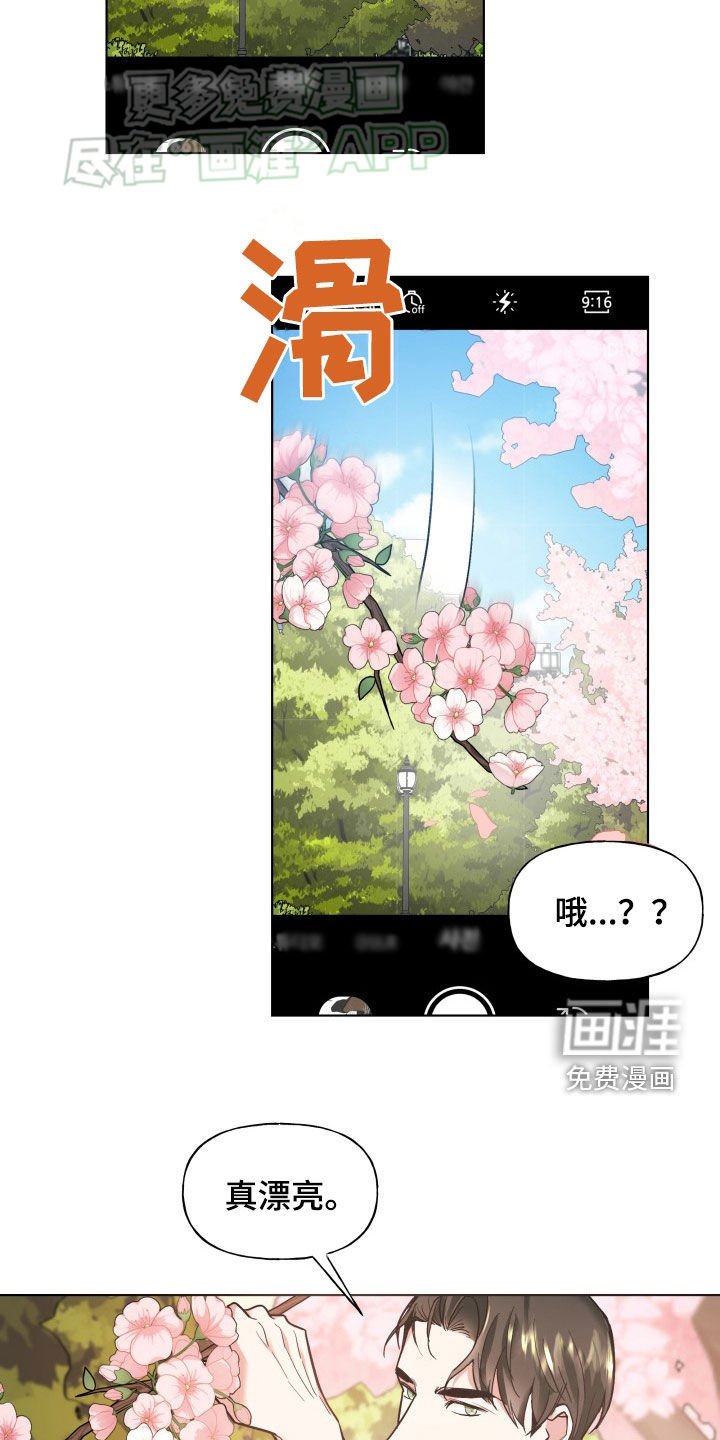第19章：我喜欢你
